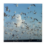 gaivotas que voam sobre a praia azulejos