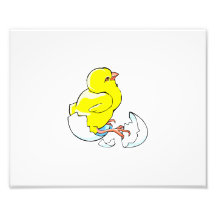 galinha amarela que choca o bebê chick.png impressão fotográfica