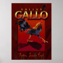 Gallus Gallo Impressão