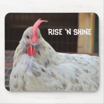 Galo com dizer da manhã tapetes para ratos