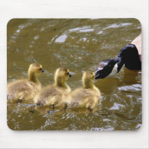 Ganso de mãe Mousepad