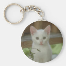 Gatinho bonito chaveiro
