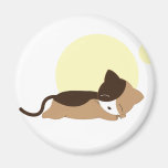 Gatinho do sono imas