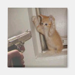 Gatinho guardarado sob a mira de arma! imãs de refrigerador