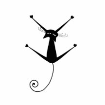 Gatinho irrisório preto 10 fotoescultura