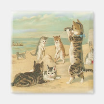 Gatinhos da praia ima