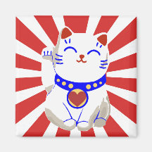 Gato bonito afortunado do neko no sol de ascensão imã