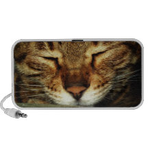 Gato bonito caixinhas de som para notebook