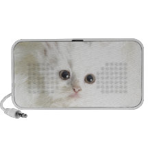 Gato branco caixinha de som para iPod