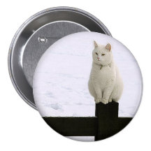 Gato branco gordo em um botão preto da cerca boton