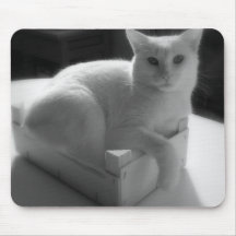 Gato branco mousepad