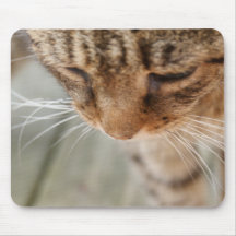 Gato curioso mousepad