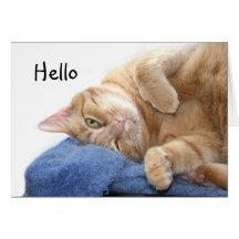 Gato de gato malhado alaranjado cartao