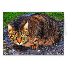 Gato de gato malhado grande cartao