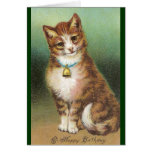 Gato do aniversário de Belled Cartoes