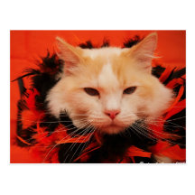 Gato do Dia das Bruxas Cartão Postal