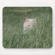 Gato do espião mousepad