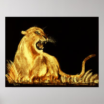 Gato dourado - poster
