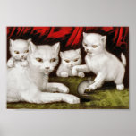 Gato e gatinhos da mãe com rato posteres