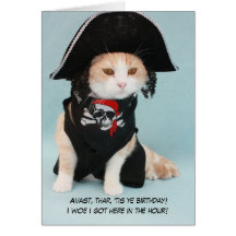 Gato engraçado customizável do pirata cartoes