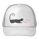 Gato & impressões do gato bone