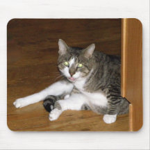 Gato malhado mouse pad
