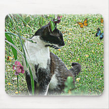 Gato preto & branco das "mariquinhas" mouse pad
