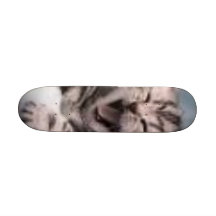 gato skates