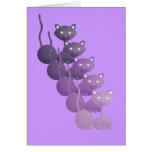 Gatos roxos que relaxam cartao
