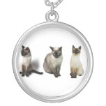 Gatos tailandeses bijuterias