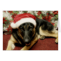 German shepherd - Natal Cartões