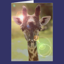 girafa postais