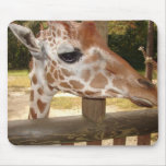 Girafa Mouse Pad