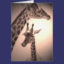 girafas, mãe e criança postais