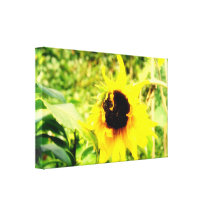 Girassol Impressão De Canvas Envolvidas