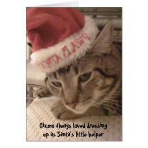 Gizmas alegre cartões