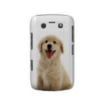 Golden retriever capas blackberry bold
