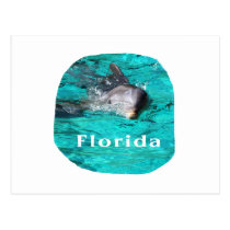 golfinho que sai da água clara florida da cerceta cartées postais