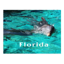 golfinho que sai da água clara florida.jpg da cerc cartées postais