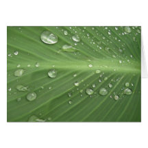 Gota a gota cartoes