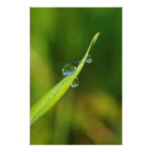 Gotas de água em uma lâmina de grama verde arte de fotos