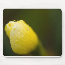 Gotas do Daffodil Mouse Pads