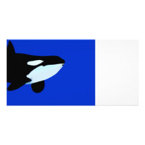 gráfico subaquático da baleia de assassino da orca cartões de fotografias