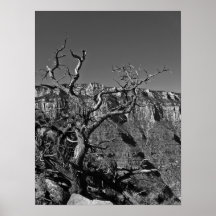 Grand Canyon #1 Poster