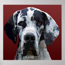 Great dane Harly enfrenta o poster