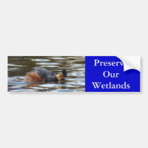 Grebe B0008 orelhudo Adesivos