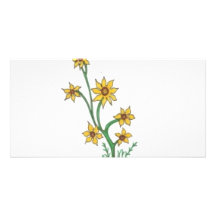 grupo de flores amarelas cartao com foto