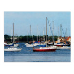 Grupo de veleiros Newport RI Cartões Postais