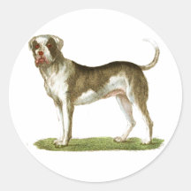 grupo do presente da arte do cão adesivos