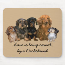Grupo Mousepad do Dachshund